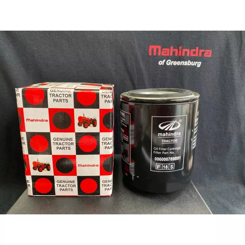 006000789B91 - Engine Oil Filter (E1 1-1)