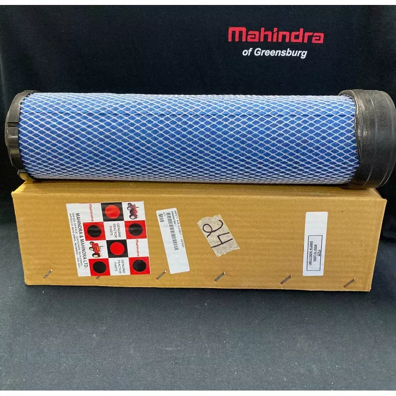 006000790F1 - Air Filter (Inner)