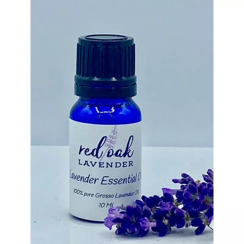Lavender Essential Oil