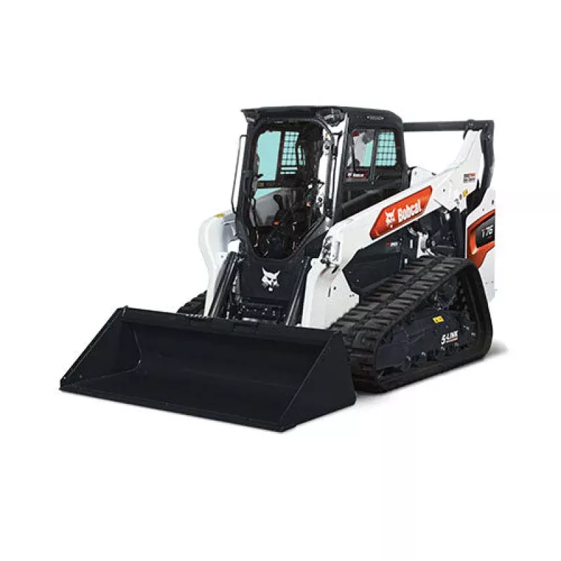 T76 | Bobcat
