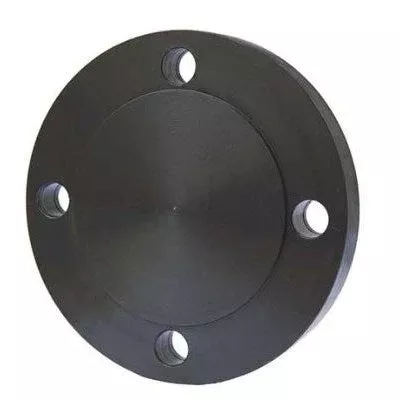 Wld Flg 2 BL (Weld Fitting) | Weld Flange 2 Blind | Weld Fittings | Fl