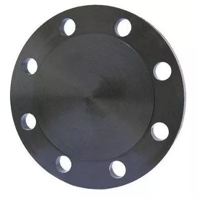 Wld Flg 8 BL (Weld Fitting) | Weld Flange 8 Blind | Weld Fittings | Fl
